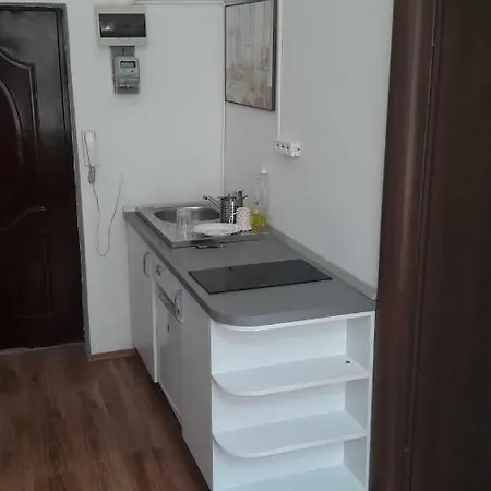 Presidential Lux Apartment,piata Unirii ,3